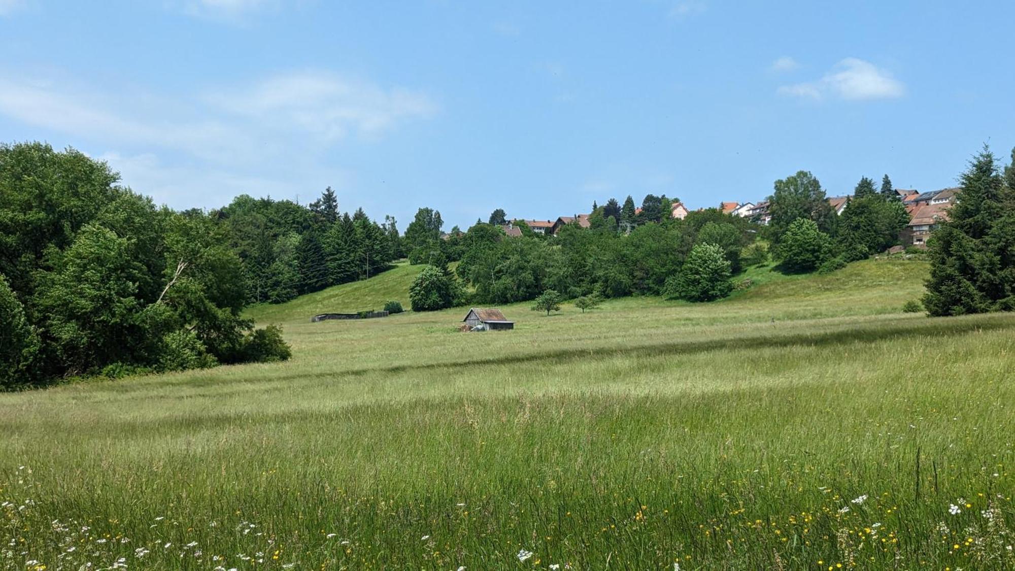 Waldhorn Dobel Exterior foto